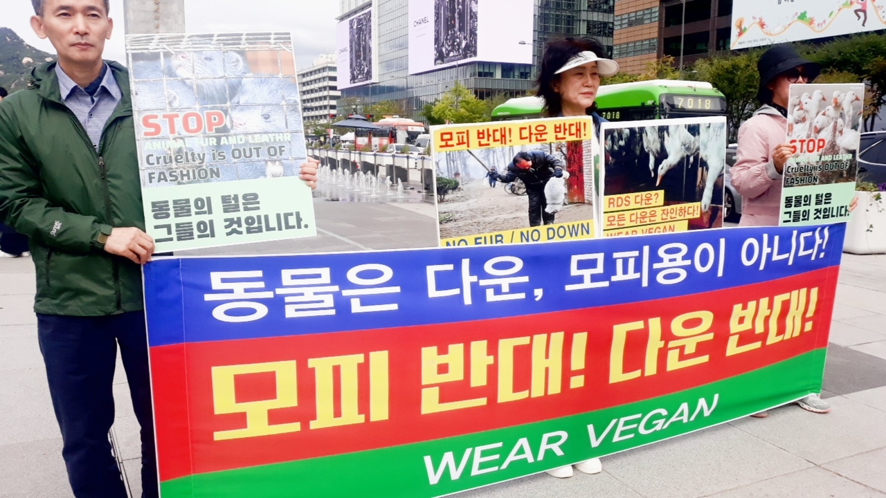 (사진=한국채식연합 제공)