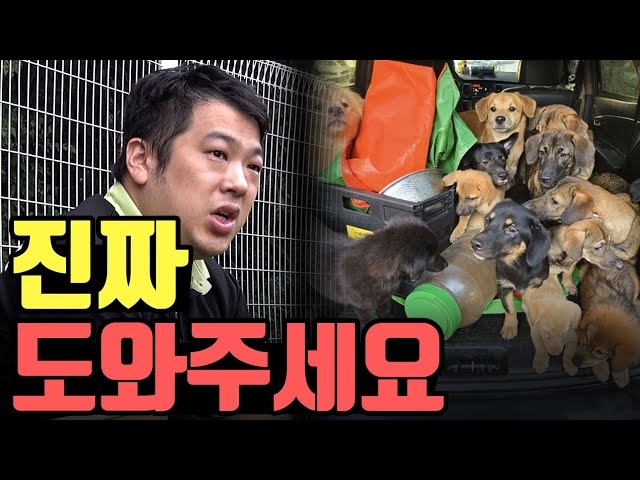 (사진=유튜브 ‘카라큘라 애니멀 레스큐’ 영상 갈무리)