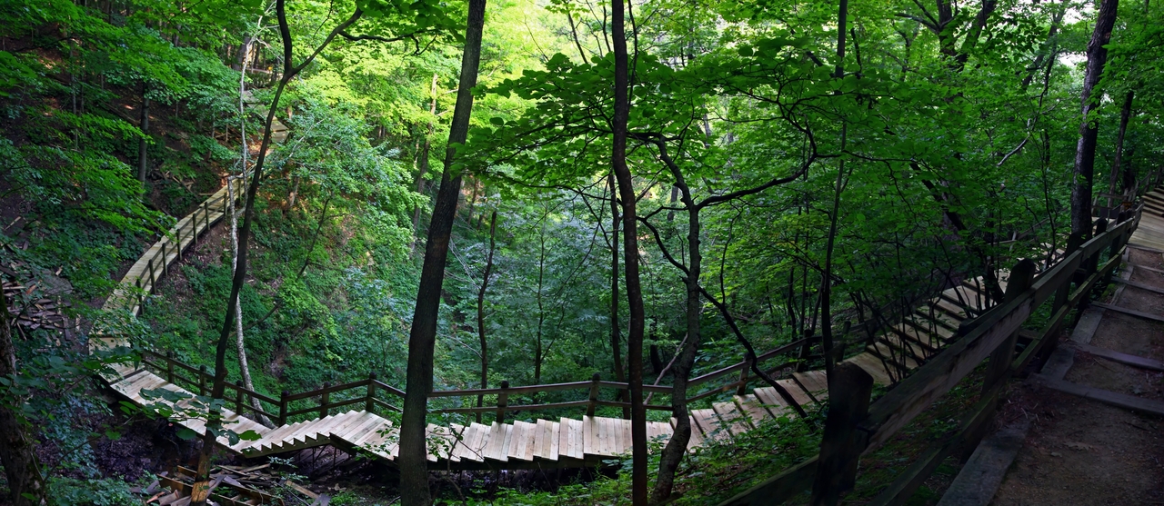 지난해 아마존 산불로 인한 이산화탄소 배출량이 독일의 연간 배출량과 맞먹는 수준에 달한 것으로 나타나 충격을 자아낸다. (사진=unsplash)
