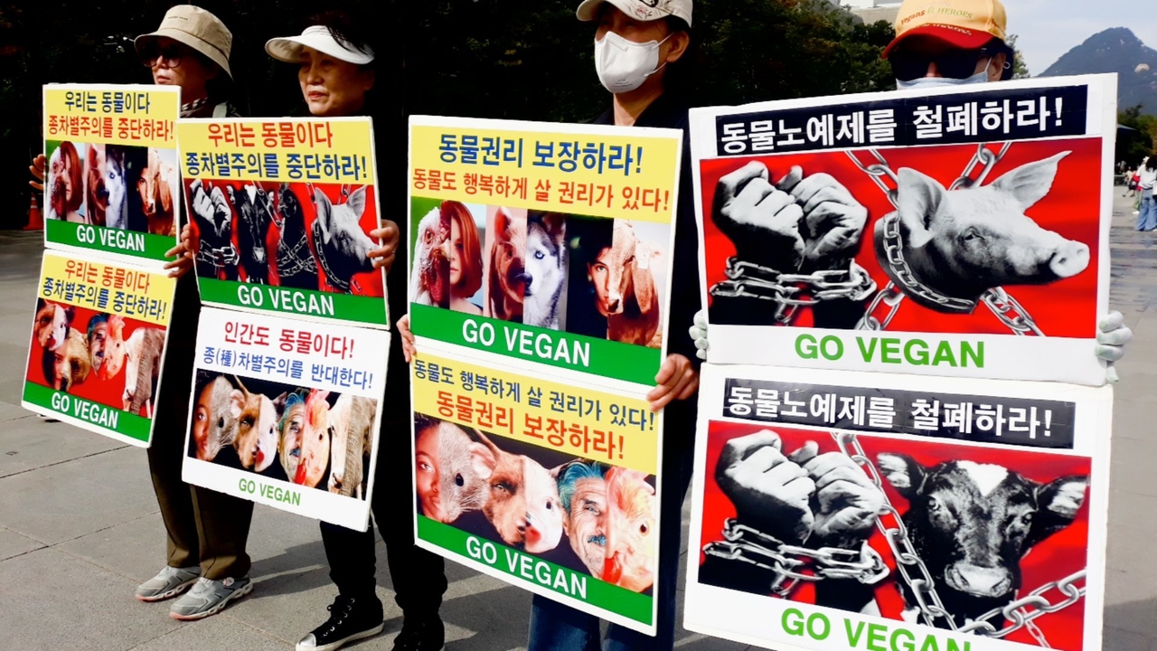 (사진=한국채식연합 제공)