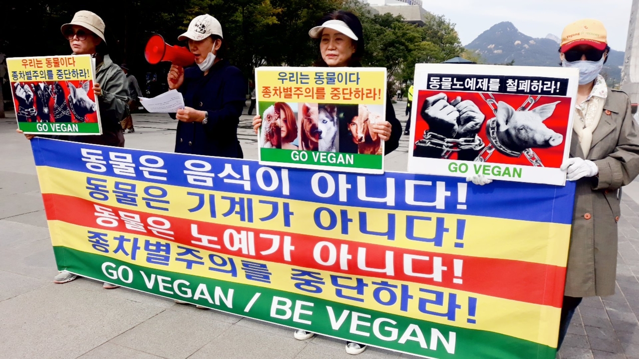 (사진=한국채식연합 제공)