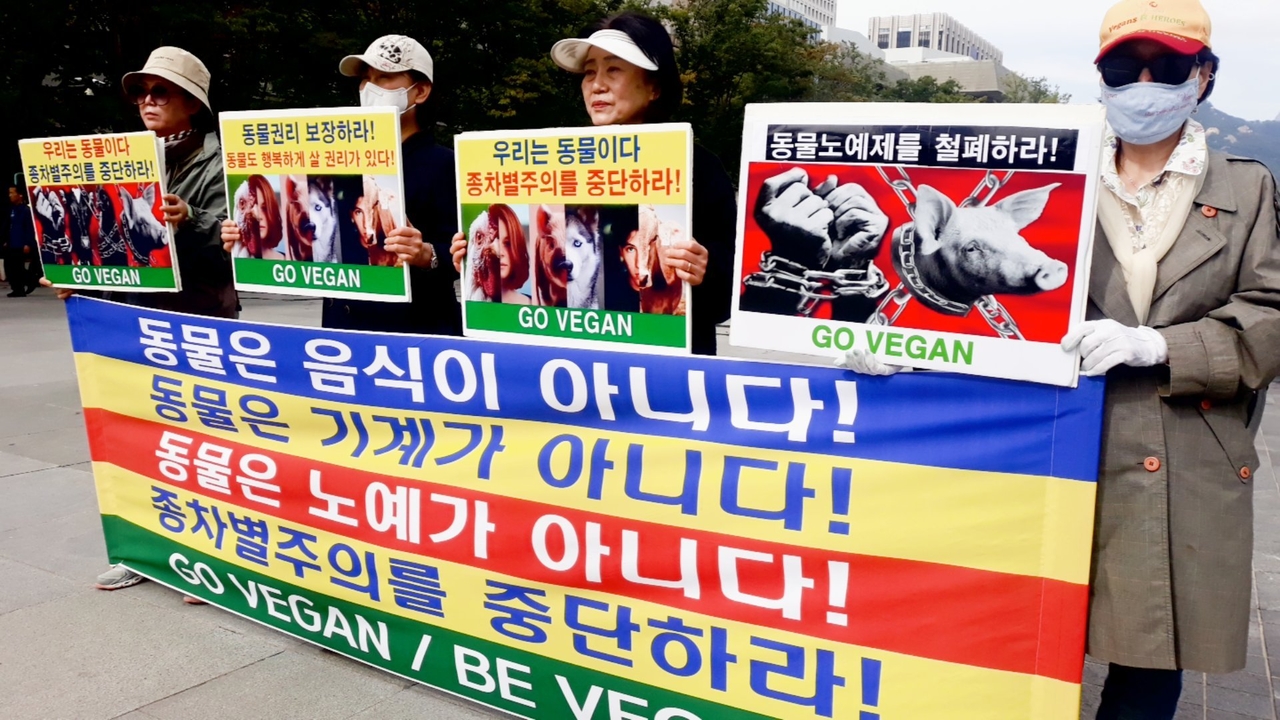 (사진=한국채식연합 제공)