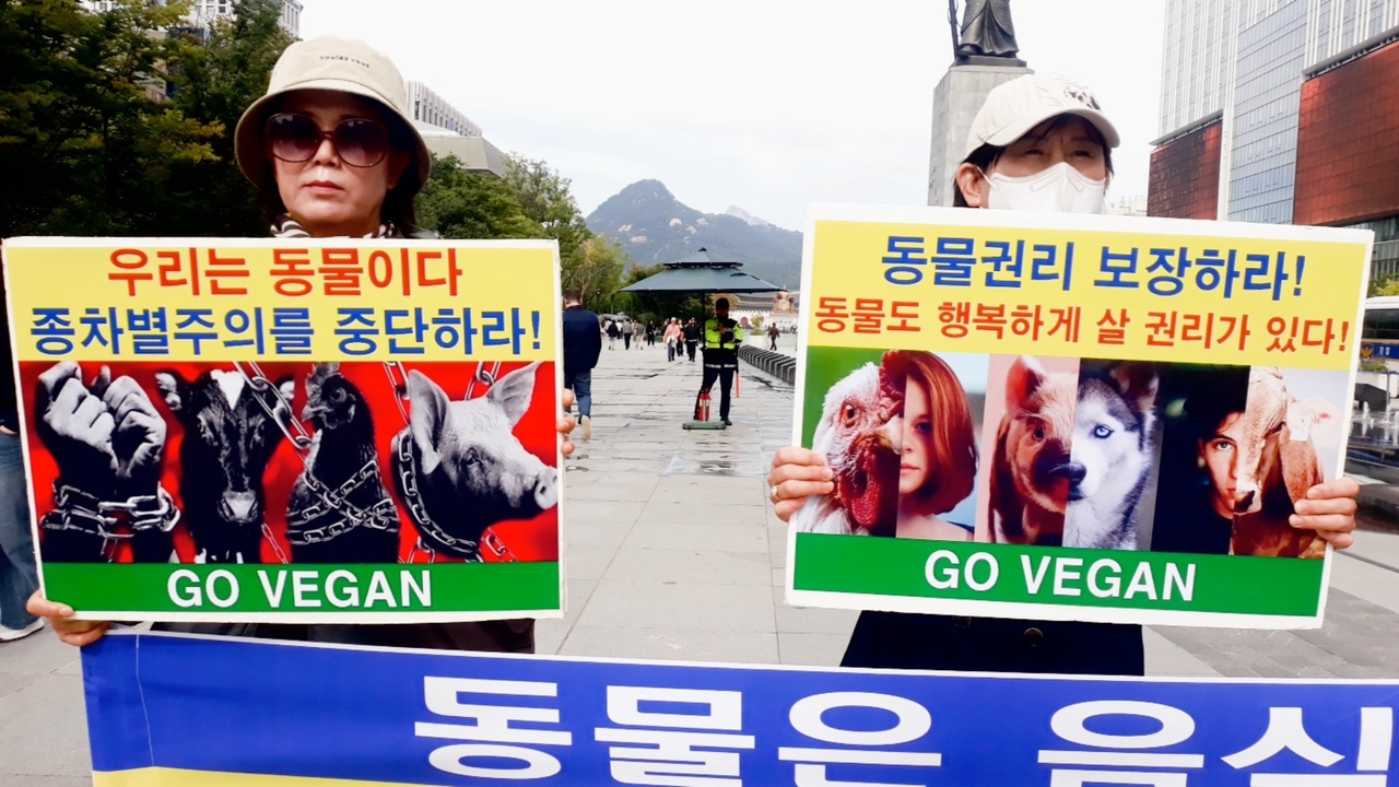 (사진=한국채식연합 제공)