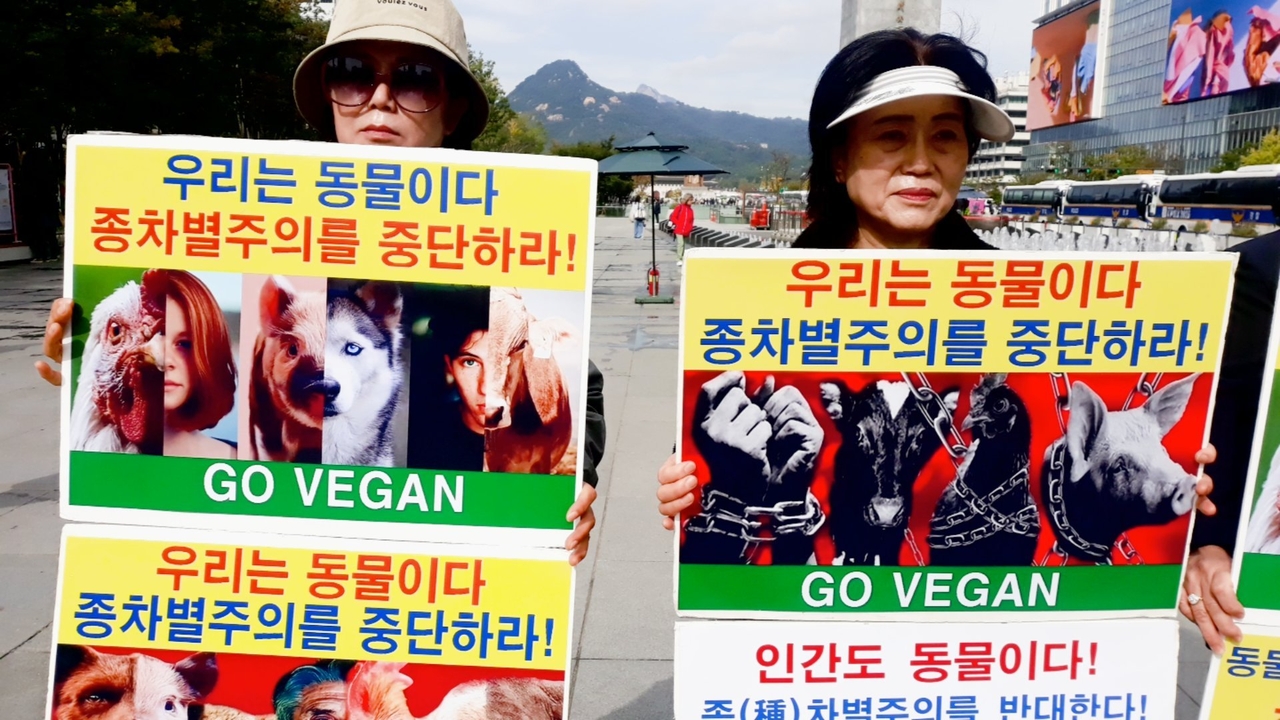 (사진=한국채식연합 제공)