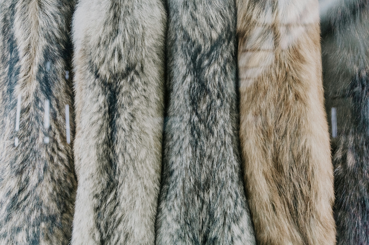 (사진=unsplash)