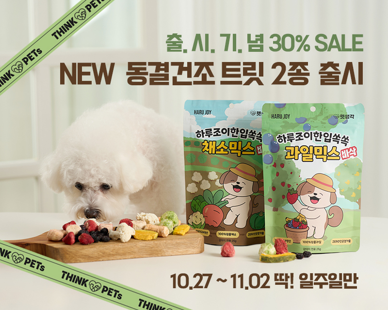 (사진=펫생각 제공)