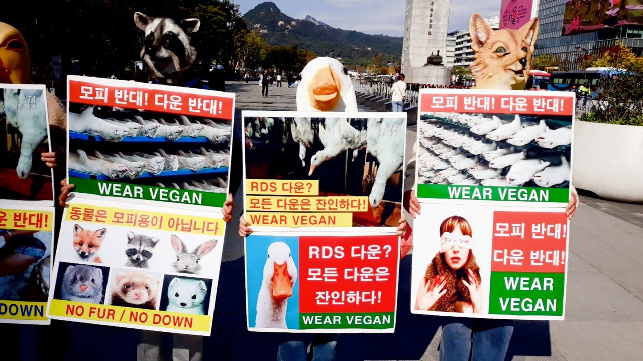 (사진=한국동물보호연합 제공)