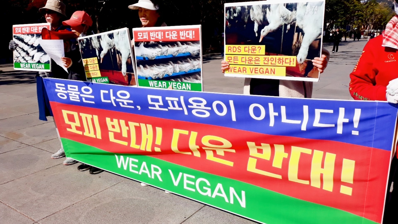 (사진=한국동물보호연합 제공)