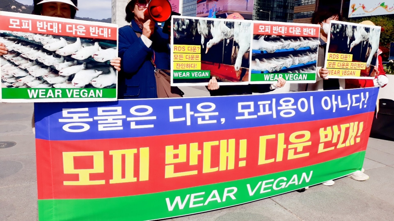 (사진=한국동물보호연합 제공)