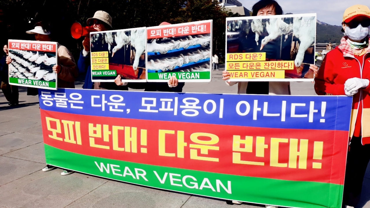 (사진=한국동물보호연합 제공)