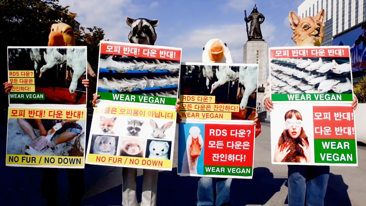 (사진=한국동물보호연합 제공)