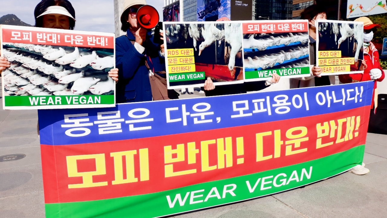 (사진=한국채식연합 제공)
