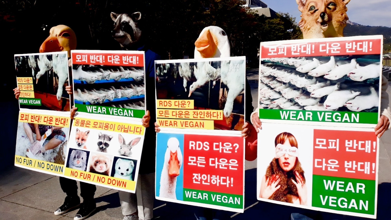 (사진=한국채식연합 제공)