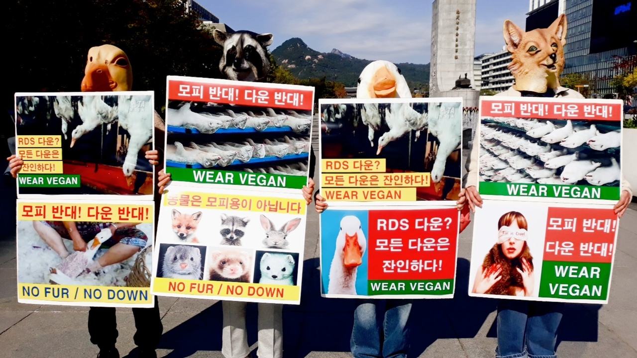 (사진=한국동물보호연합 제공)