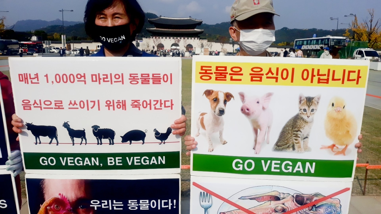 (사진=한국채식연합 제공)