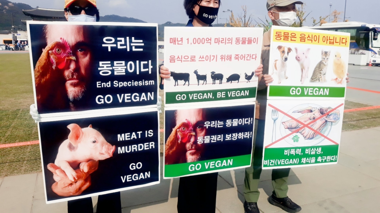 (사진=한국채식연합 제공)