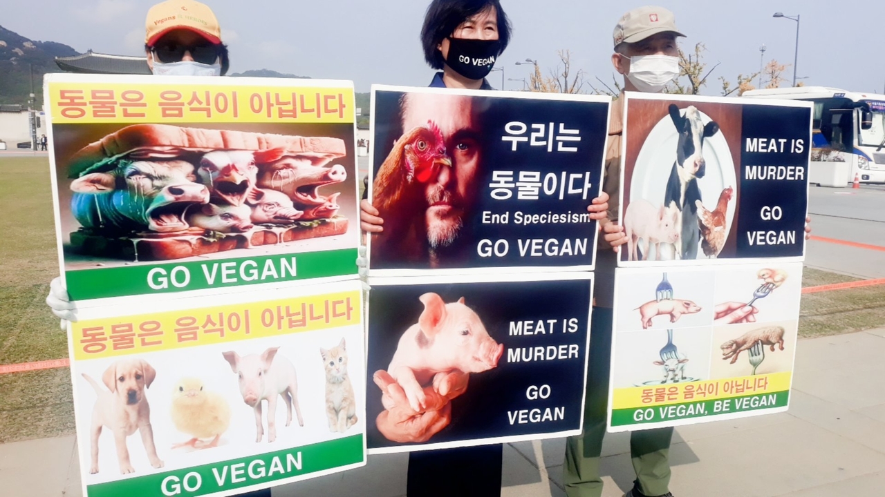 (사진=한국채식연합 제공)