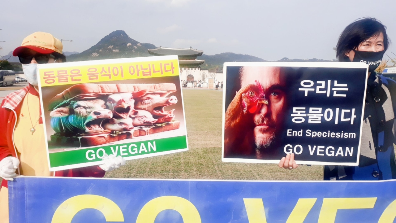 (사진=한국채식연합 제공)