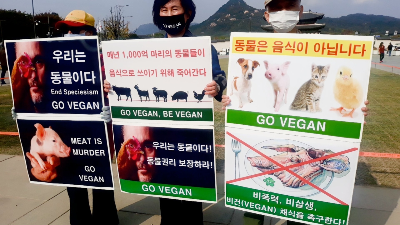 (사진=한국채식연합 제공)