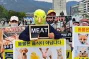 한국동물보호연합 ‘세계 동물의 날’ 맞아 “동물도 생명이다” 외쳐