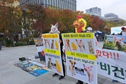 한국채식연합, ‘세계 비건의 날’ 맞아 비건 채식의 이로움 알려