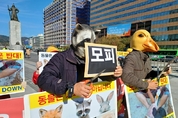 한국동물연합 “모피와 다운은 동물학대의 산물…소비하지 않아야”