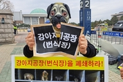 한국동물보호연합 ‘국제 강아지의 날’ 맞아 강아지 공장 폐지 촉구 기자회견 열어