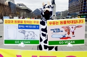 한국채식연합, 기자회견 열어 “건강과 동물을 망치는 우유, 중단해야”