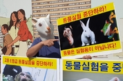 “동물실험은 동물학대” 지난해만 414만마리 동원돼