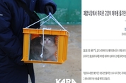 포항서 고양이 학대 또 발생…청원 "현실적인 처벌 내려달라"