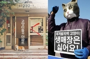 재개발지역, '삶의 터전' 잃은 길고양이 생존권 보장해야