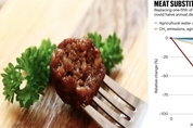 '곰팡이 단백질', 맛과 영양 챙기고 온실가스 줄일 '게임체인저'