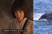인기 드라마가 들려준 '고래 산업'의 민낯