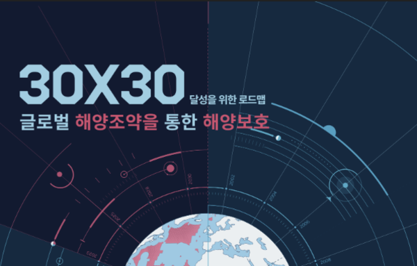그린피스 "생태학적 중요수역서 조업 늘어나…해양보호구역 지정 시급"