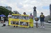 한국동물보호연합 “동물학대 온상, 개 번식장·경매장 폐지해야”