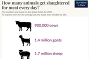 매일 얼마나 많은 동물이 도살될까?