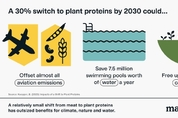 육류소비 3분의 1로 줄이면…전 세계 항공사의 탄소배출량 상쇄
