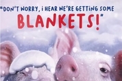 "담요 덮은 돼지들" 크리스마스 카드가 동물학대라고 욕먹은 이유는?