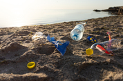 플라스틱 오염, 해양생물 번식 방해…정자수 감소 기여