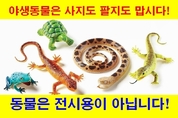 야생생물법·동물원수족관법 개정…한국동물보호연합 “야생동물 팔지도 사지도 말자”