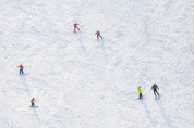 기후위기 탓 눈 대신 비내려…겨울 스포츠 스키 위협