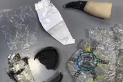 할로윈 코스튬·병뚜껑·비닐봉지…죽은 바다거북 몸서 발견된 플라스틱