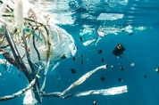 해저에 쌓인 플라스틱 쓰레기, 1100만 톤 달해