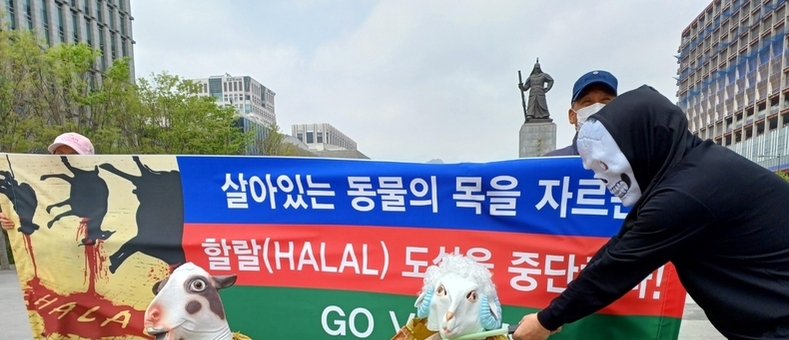 한국동물보호연합 "살아있는 동물의 목을 자르는 '할랄' 도살 중단하라"