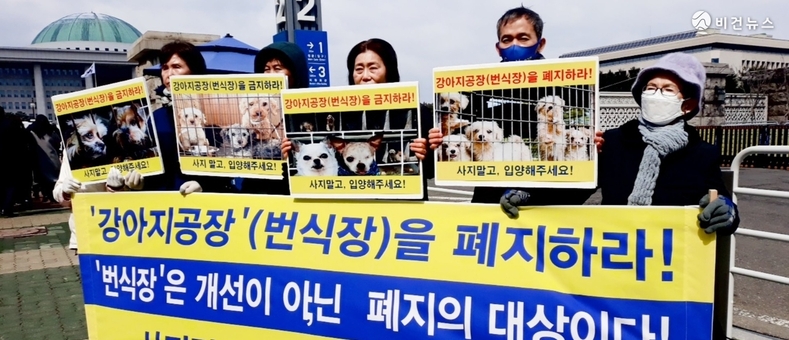 '국제 강아지의 날' 앞두고 동물보호단체들, 반려견 번식장 전면 금지 촉구 [전문]