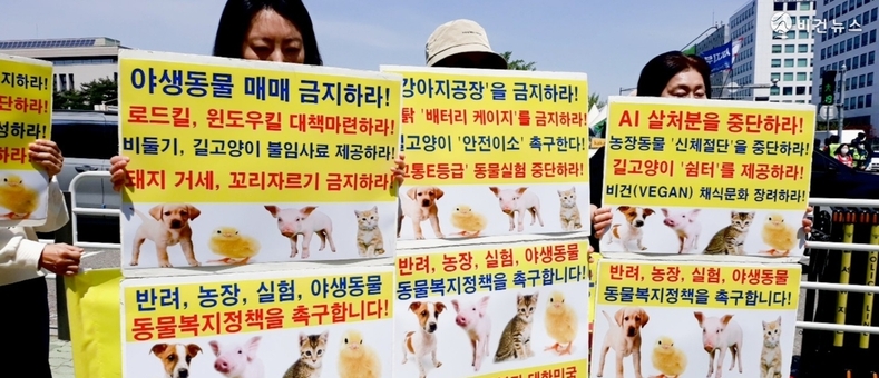 "동물복지 공약 없는 후보 거부한다"…동물보호단체, 대선후보에 정책 촉구 [전문]