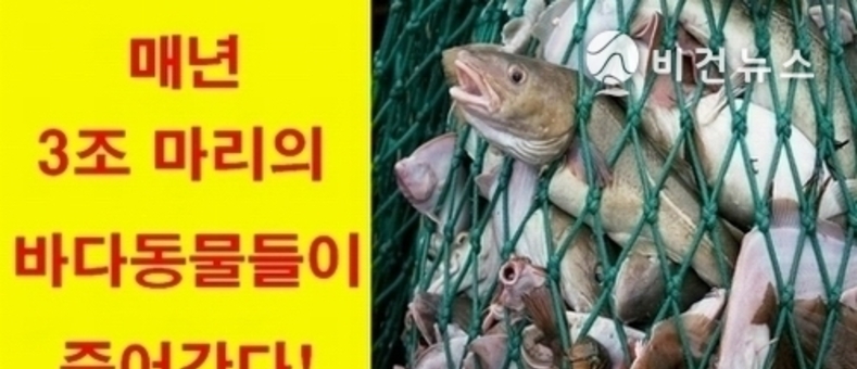 바다 생태계 파괴 심각…비건 단체들, '비건 채식 실천' 촉구 기자회견