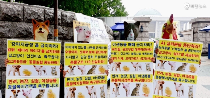동물보호단체, 이재명·김문수·이준석 후보에 "동물복지 정책 공약 제시하라" 촉구 [전문]