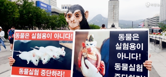 [전문] "동물실험은 과학 아닌 도박"…시민단체, 광화문서 중단 촉구