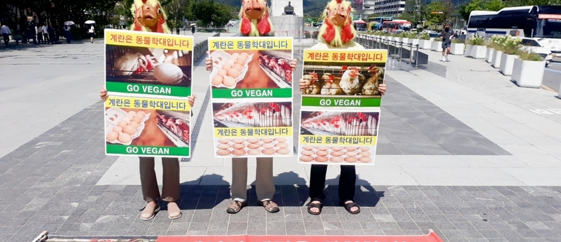 잔인한 동물학대 케이지 계란 중단 촉구…비건 채식 확대 요구